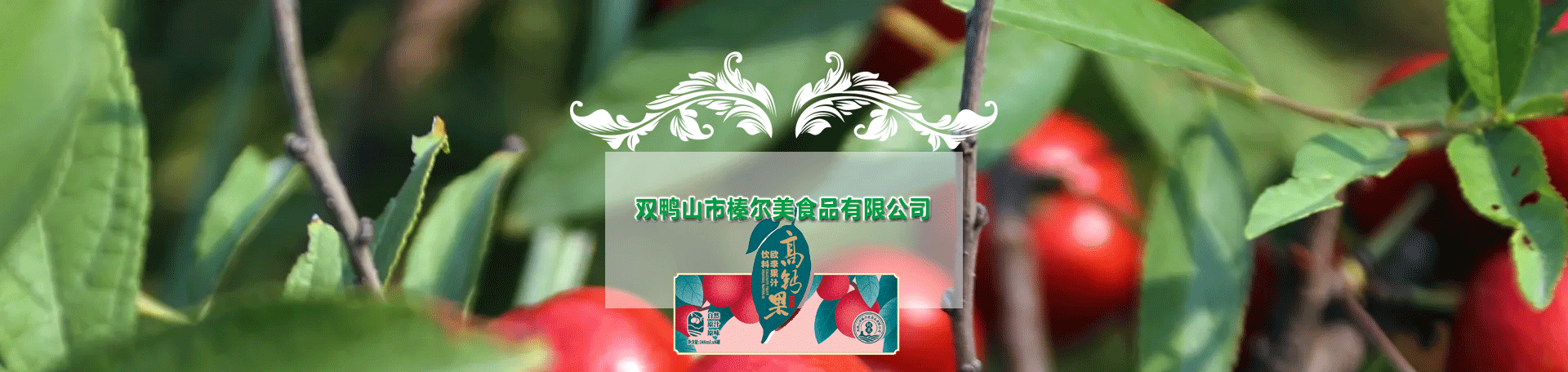 新聞動(dòng)態(tài)